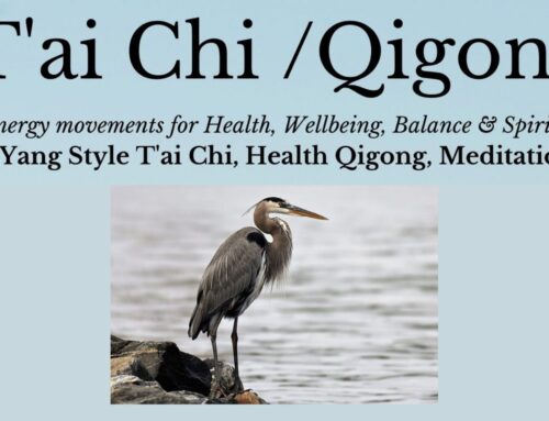 T’ai Chi and Qigong in Fermoy Community Youth Centre