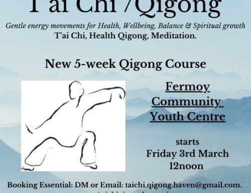 Tai Chi and Qigong Classes- With Anne Marie Starting 3rd March